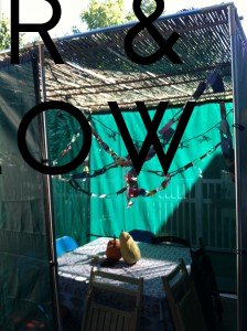 Sukkah sent in from Denver, Colorado!