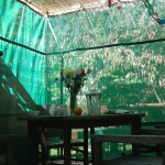 Sukkot 016
